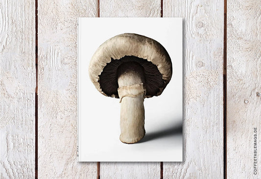 The Gourmand’s Mushroom, cover, book